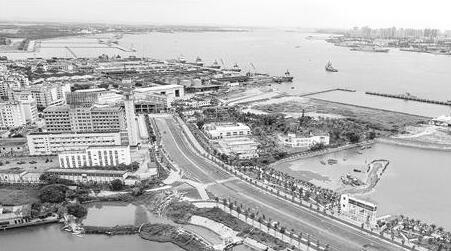 坡头区文联打造平台培育文艺品牌