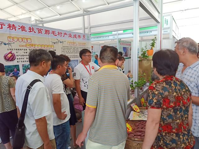 湛江东盟农博会参展产品备受市民青睐
