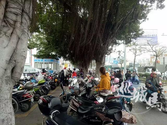 湛江市区电动车托管的收费标准是多少？这里有你想知道的答案