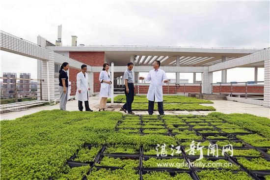 湛江市拟利用老旧小区试点建设屋顶绿化 打造立体绿化