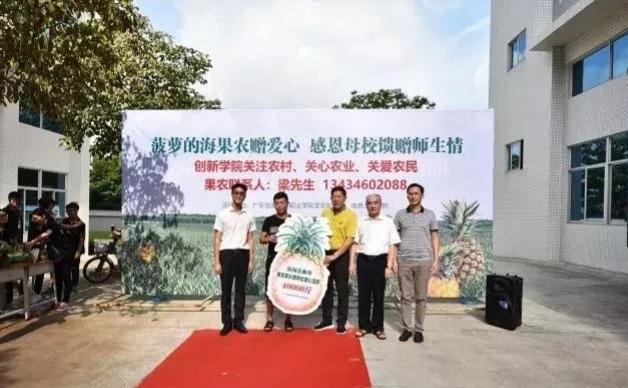 三个湛江卖农产品的小案例，带你打开脑洞，寻找机会！