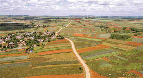 湛江“菠萝的海”公路入选首批“广东最美旅游公路”