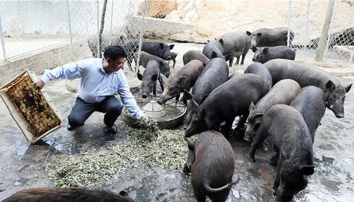 廉江长山有个“珍稀动物园”