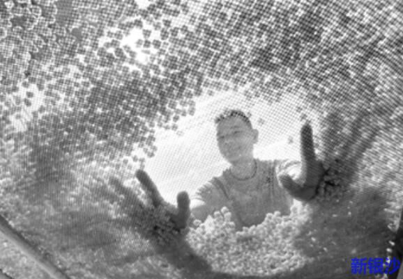 互联网下乡 土特产上线 遂溪电商扶贫打造“网红”产品助力乡村振兴