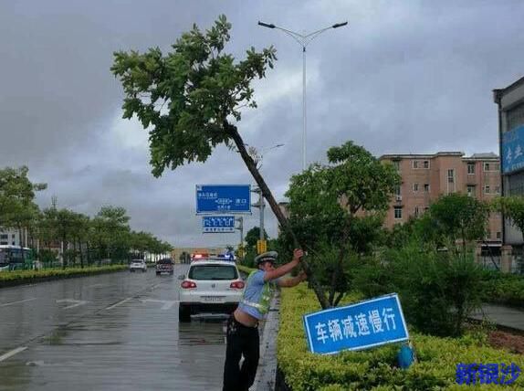“山竹”致湛江经济损失1.25亿元 复产工作正在有序进行