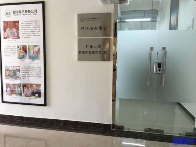 国内首家中泰合作种虾选育机构落户广东湛江