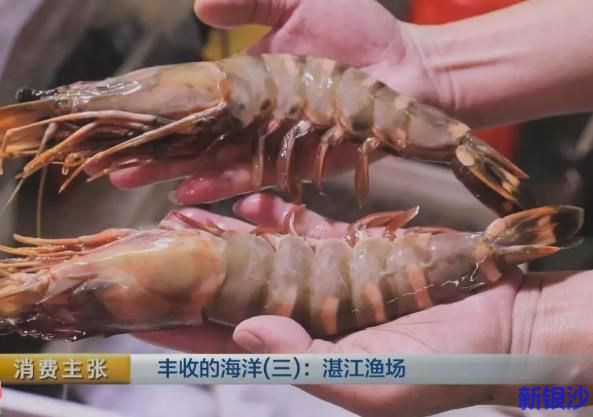 湛江水产在美国上市，吸引了全球水产行业的目光