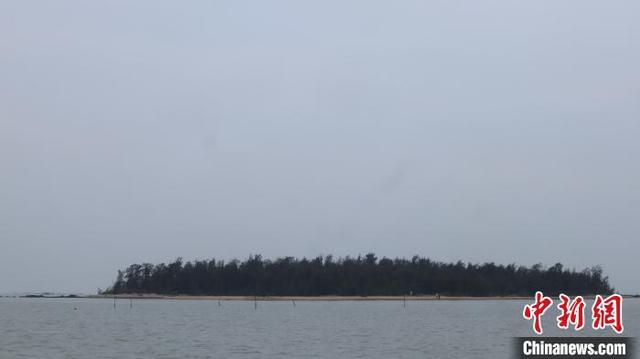 湛江现代海洋产业快速发展 加快实现湛江蓝色崛起